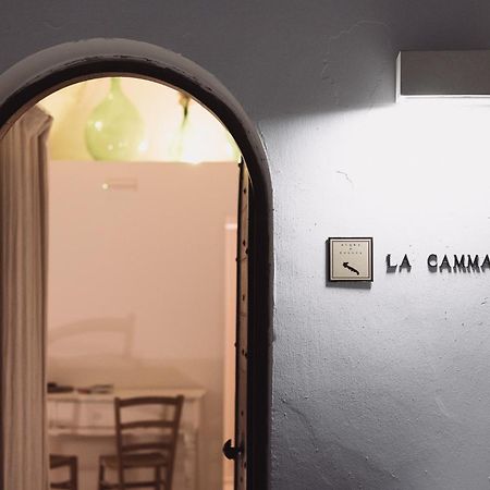 La Cammara Al Duomo Lecce Luxury Apartment ภายนอก รูปภาพ